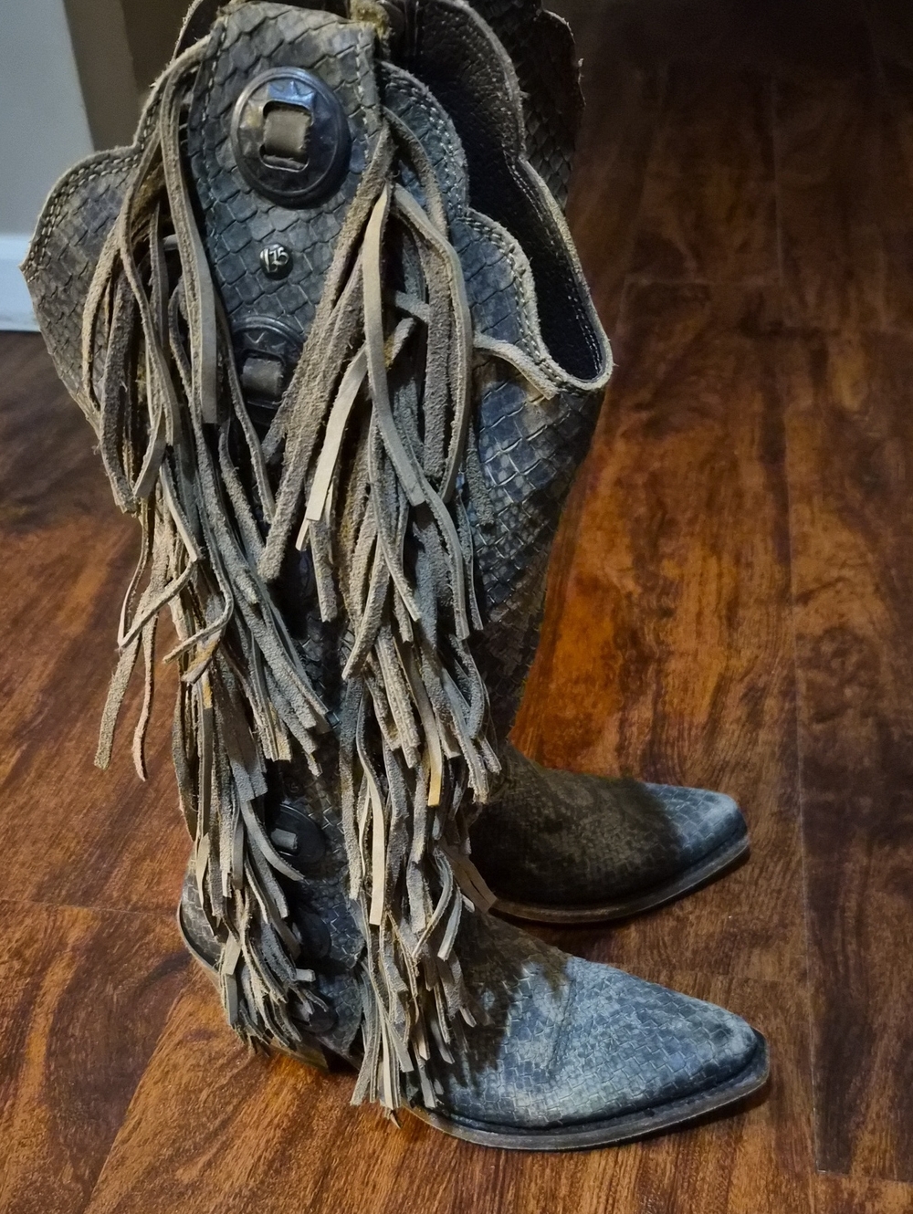 LIBERTY Black Fringe Snake-Embossed Knee Boots in Gray Brown